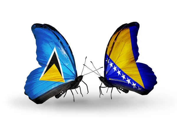 Zwei Schmetterlinge mit Fahnen auf Flügeln — Stockfoto