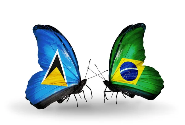 Kaksi perhosta lippuineen siivillä — kuvapankkivalokuva