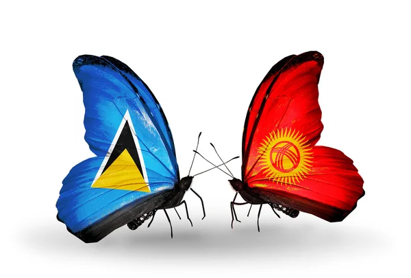 Deux papillons avec drapeaux sur les ailes — Photo