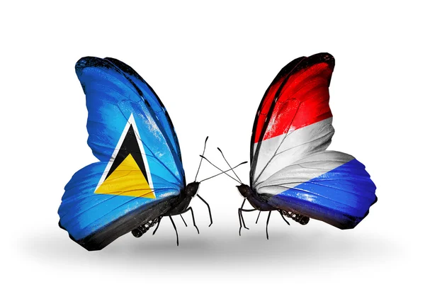 Two butterflies with flags on wings — Stock Photo, Image