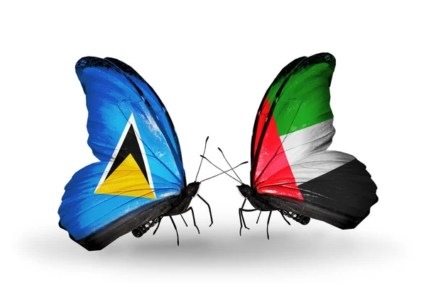 Duas borboletas com bandeiras nas asas — Fotografia de Stock