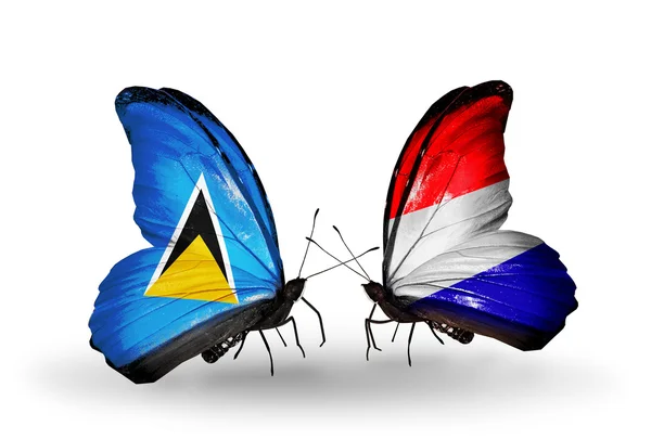 Deux papillons avec drapeaux sur les ailes — Photo