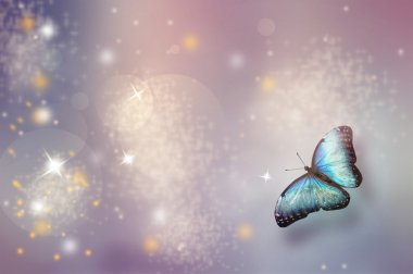 Noel arka plan ile kelebek