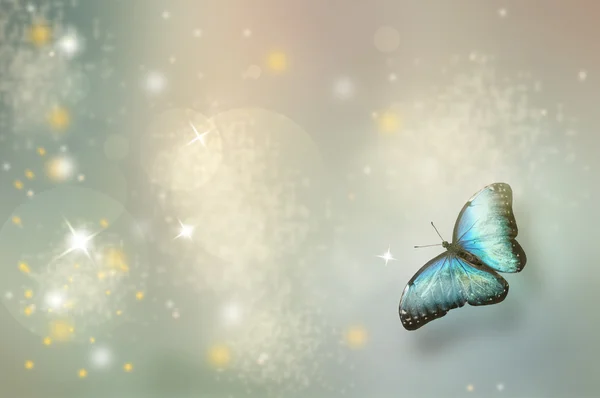 Christmas background with butterfly — Stock Photo, Image