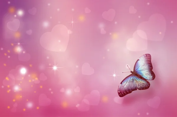 蝶のバレンタインデーの背景 — ストック写真
