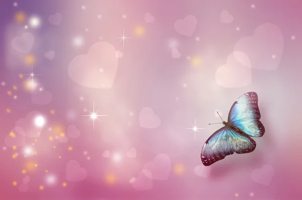 Valentine's day background with butterfly — Stock Photo, Image