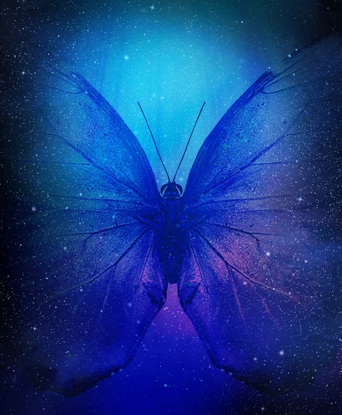 Скопление звёзд с бабочкой — стоковое фото