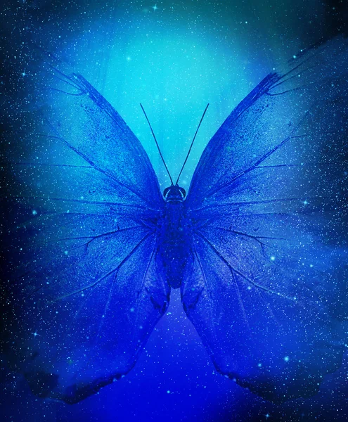 蝶が付いている星のクラスター — ストック写真