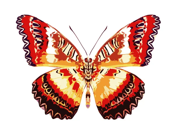 Color mariposa volando — Foto de Stock