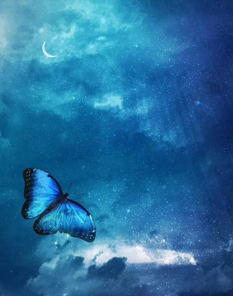 Sky with bright butterfly — Stock Photo, Image