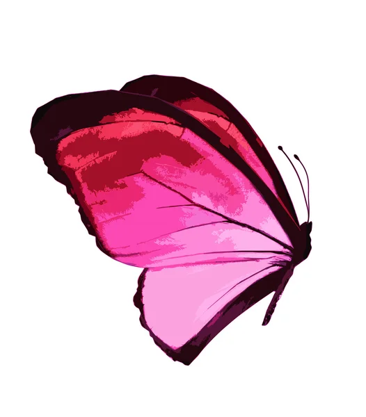 Rosa Schmetterlingstier — Stockfoto
