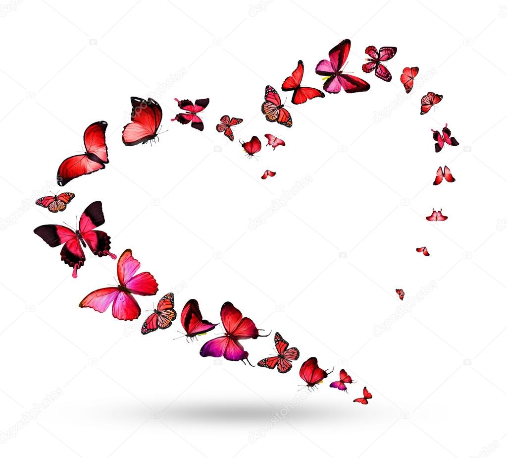 Heart with  flying butterflies