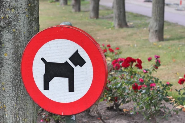 "geen honden toegestaan" Stockfoto