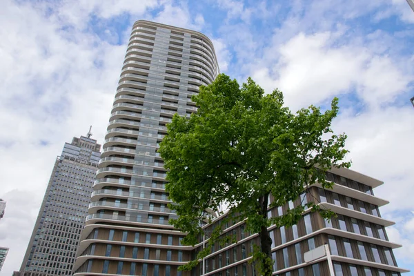 Amsterdam 'daki Meininger Oteli Hollanda 12-5-2020