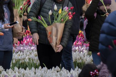 Amsterdam 'da Lale Günü' nde laleli Çanta 18-1-2020