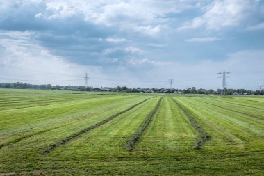 Abcoude 'deki Çiftlik Alanı Hollanda 12-6-2020
