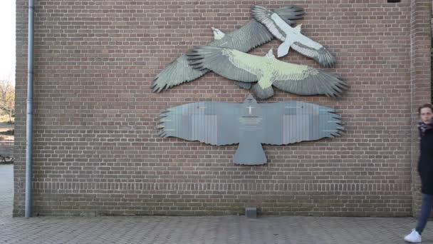 Billboard Dowiedz Się Własnych Rozmiarów Skrzydła Artis Zoo Amsterdam Holandia — Wideo stockowe