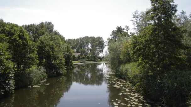 Hollanda Gein Nehri Abcoude Daki Çiftlik Evi 2020 — Stok video