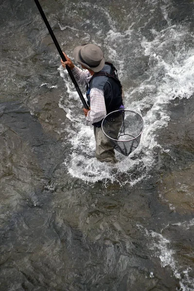 Fermer Pêcheur Rivière Nischiki Iwakuni 2015 — Photo