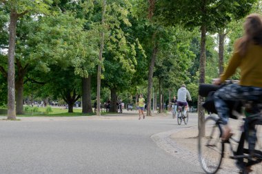 Amsterdam 'daki Vondelpark Parkı' nda Gölet Hollanda 20-6-2020