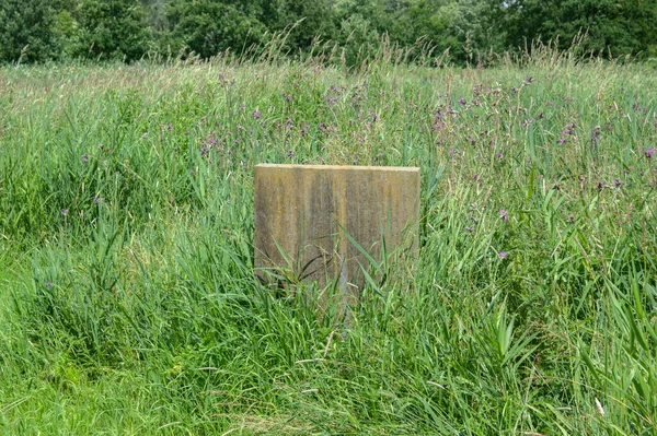 Tombe Cimitero Ebraico Zeeburg Amsterdam Paesi Bassi 2020 — Foto Stock