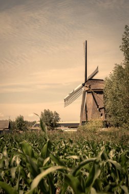 Abcoude Yel Değirmeni Hollanda 17-6-2020