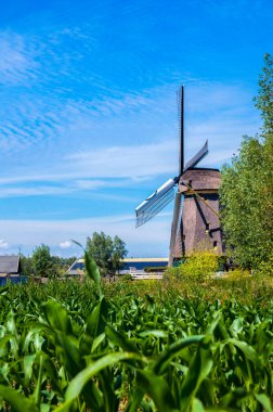 Abcoude Yel Değirmeni Hollanda 17-6-2020