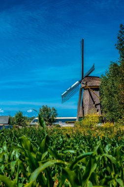 Abcoude Yel Değirmeni Hollanda 17-6-2020