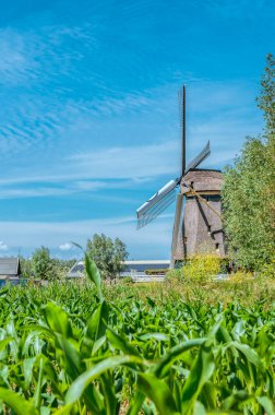 Abcoude Yel Değirmeni Hollanda 17-6-2020