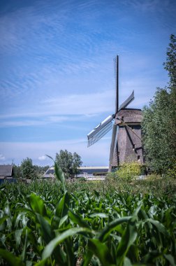 Abcoude Yel Değirmeni Hollanda 17-6-2020