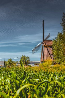 Abcoude Yel Değirmeni Hollanda 17-6-2020