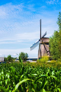 Abcoude Yel Değirmeni Hollanda 17-6-2020