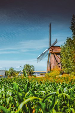 Abcoude Yel Değirmeni Hollanda 17-6-2020