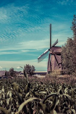 Abcoude Yel Değirmeni Hollanda 17-6-2020