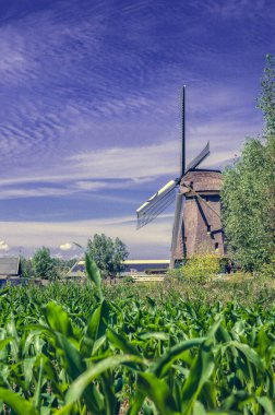 Abcoude Yel Değirmeni Hollanda 17-6-2020