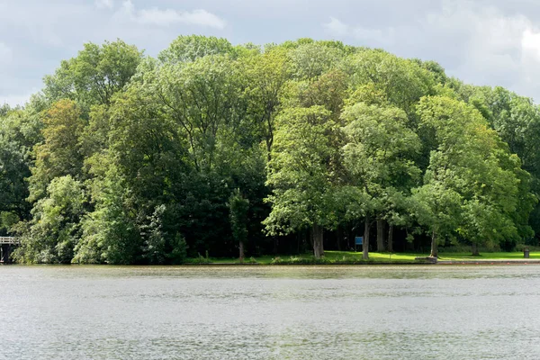 Árboles Amsterdamse Bos Países Bajos 2020 —  Fotos de Stock