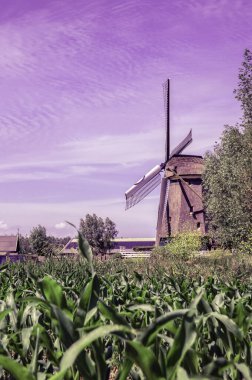 Abcoude Yel Değirmeni Hollanda 17-6-2020