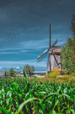 Abcoude Yel Değirmeni Hollanda 17-6-2020