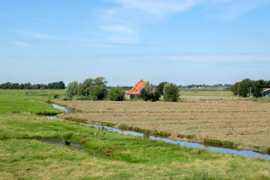 Uitdam Çevresindeki Yeşil Çiftlik Hollanda 6-8-2020
