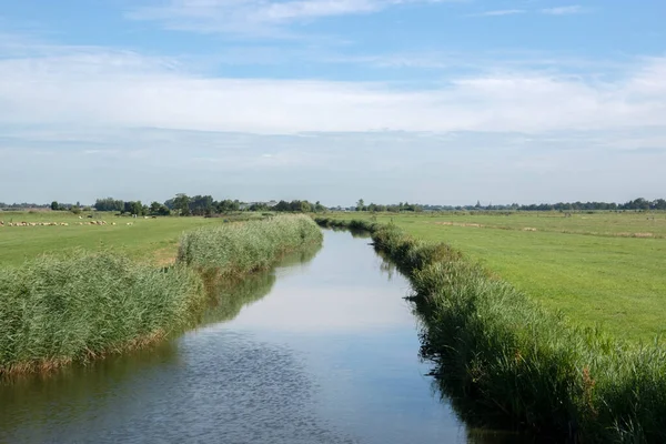 Αγροτικό Τοπίο Γύρω Από Uitdam Ολλανδία 2020 — Φωτογραφία Αρχείου