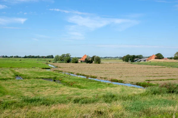Zielone Grunty Rolne Wokół Uitdamu Holandia 2020 — Zdjęcie stockowe