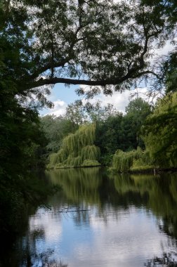 Amsterdam 'daki Vondelpark Parkı' nda Gölet Hollanda 20-6-2020