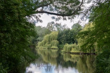 Amsterdam 'daki Vondelpark Parkı' nda Gölet Hollanda 20-6-2020