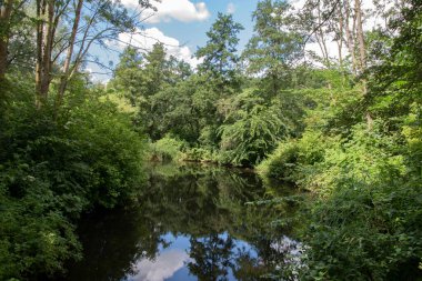 Amsterdam Gaasperplas 'daki Küçük Gölet Hollanda 20-7-2020