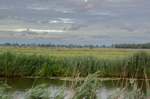 Tierras Agrícolas Alrededor Naarden Países Bajos 2020 — Foto de Stock