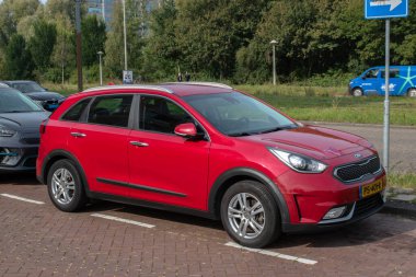 Amsterdam 'da Kızıl Koa Niro Hollanda 2-10-2025