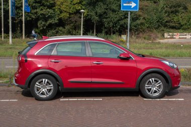 Amsterdam 'da Kızıl Koa Niro Hollanda 2-10-2025