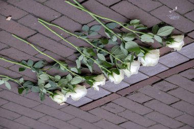  Timmers Verkeersregelaars Company Car Amterdam 'da 22-9-2025