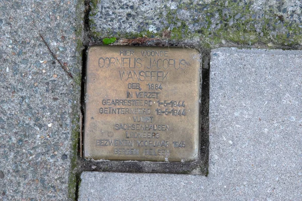 Stolperstein Anıt Taşı Cornelis Jacobus Wansbeek Amsterdam Hollanda 19-9-2025