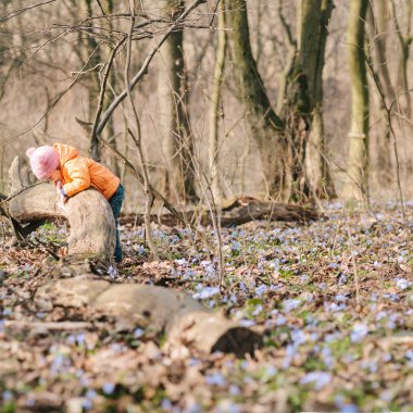 küçük kız doğa öğrenir